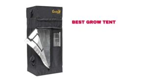 Best grow tent