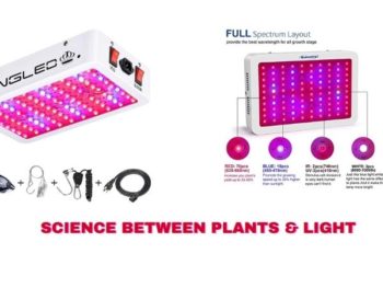 Science between Plants & Light